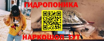 крисы Анжеро-Судженск