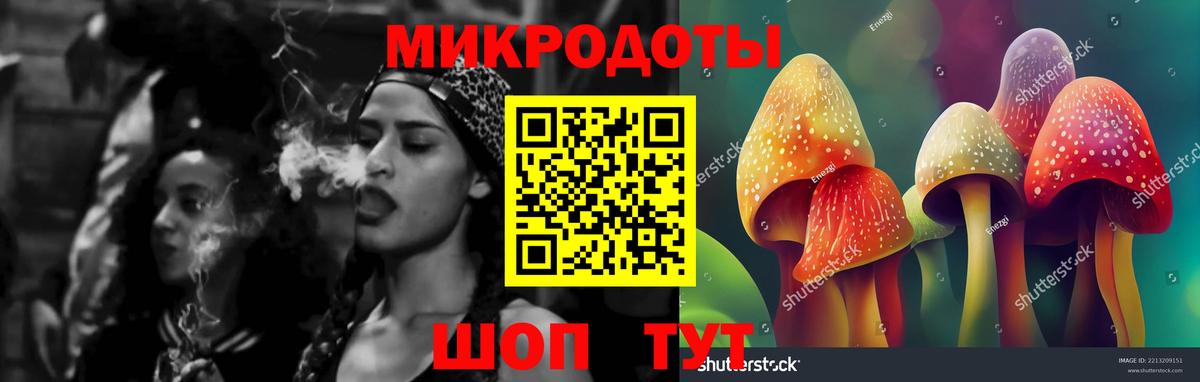 Галлюциногенные грибы Psilocybe Усть-Лабинск